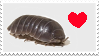 isopod badge